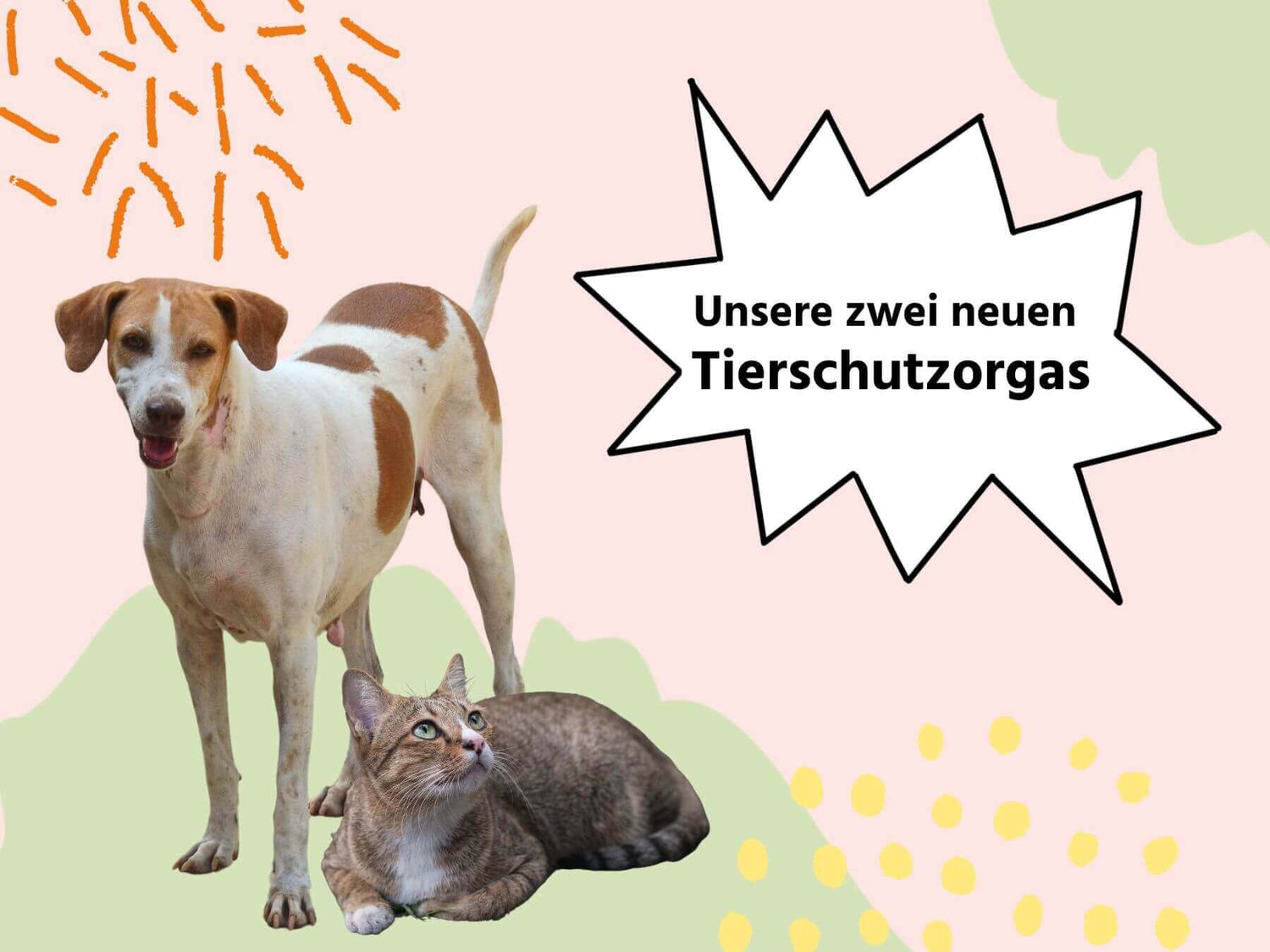 Unsere zwei neuen Tierschutzorgas