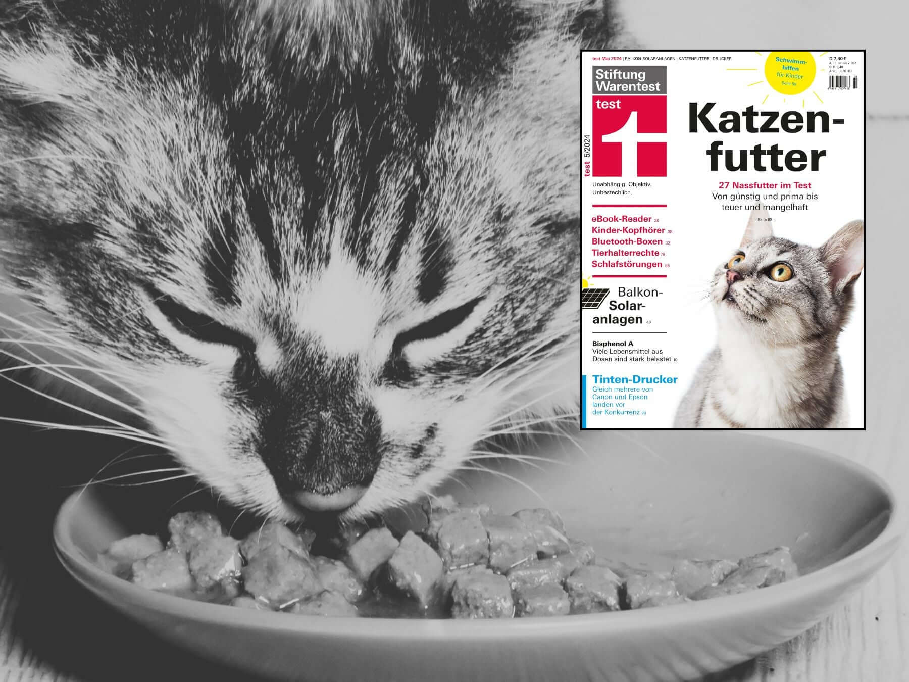 Stiftung Warentest Katzenfutter Test 2024