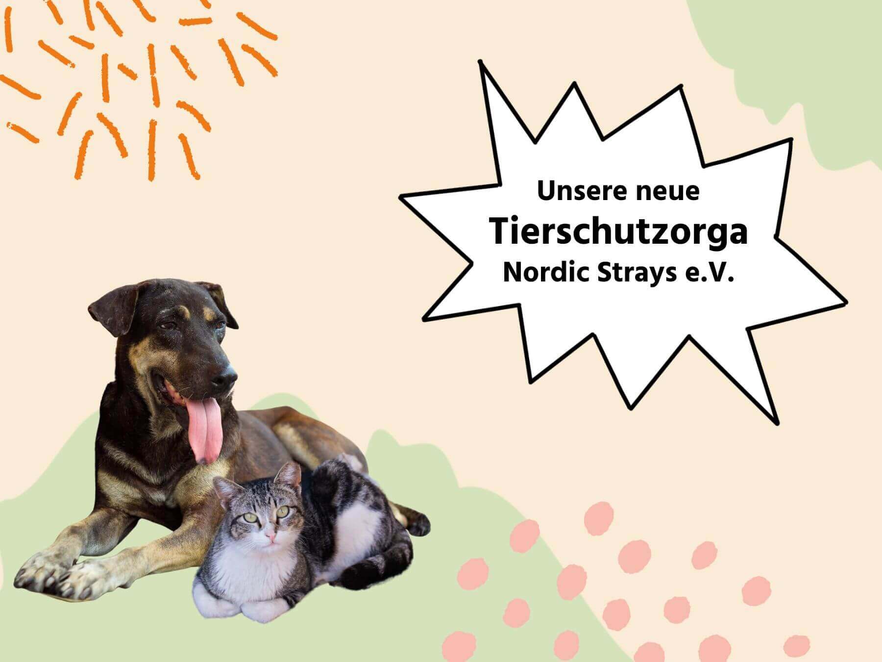 Unser neuer Tierschutzverein Nordic Strays