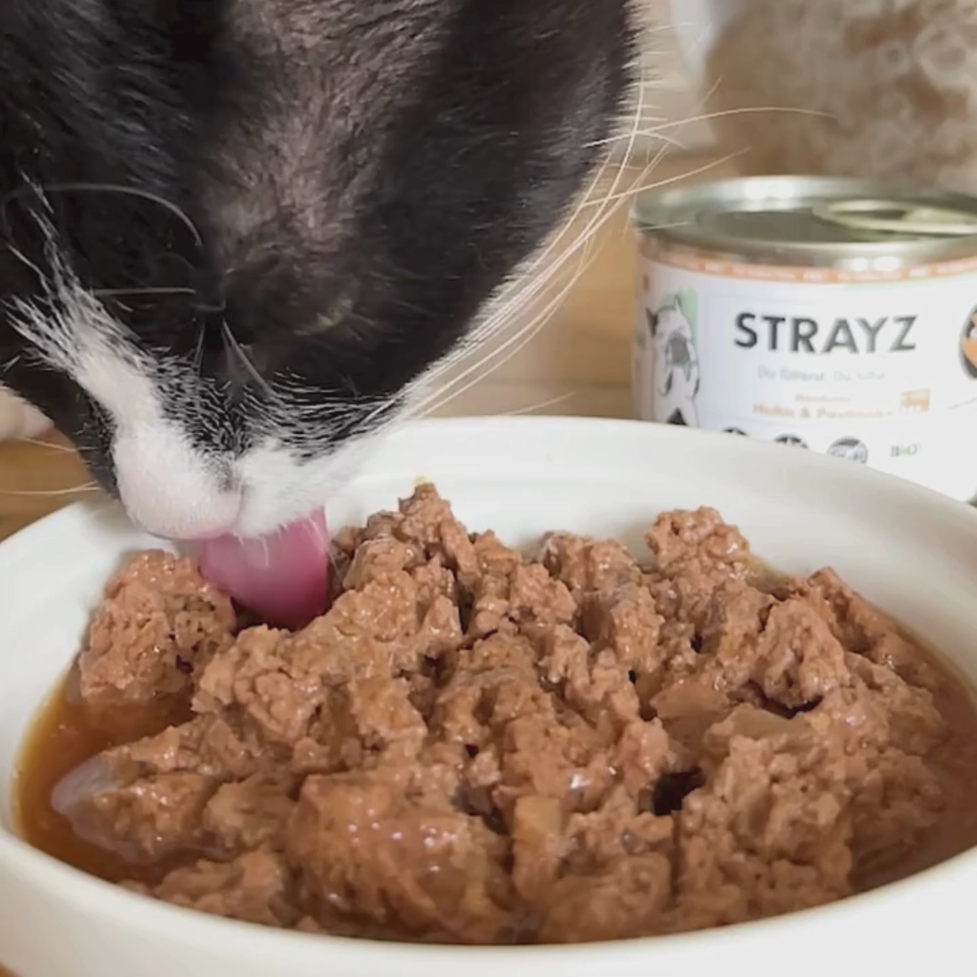 Katze frisst Bio Nassfutter in Soße Huhn und Pastinake von STRAYZ.
