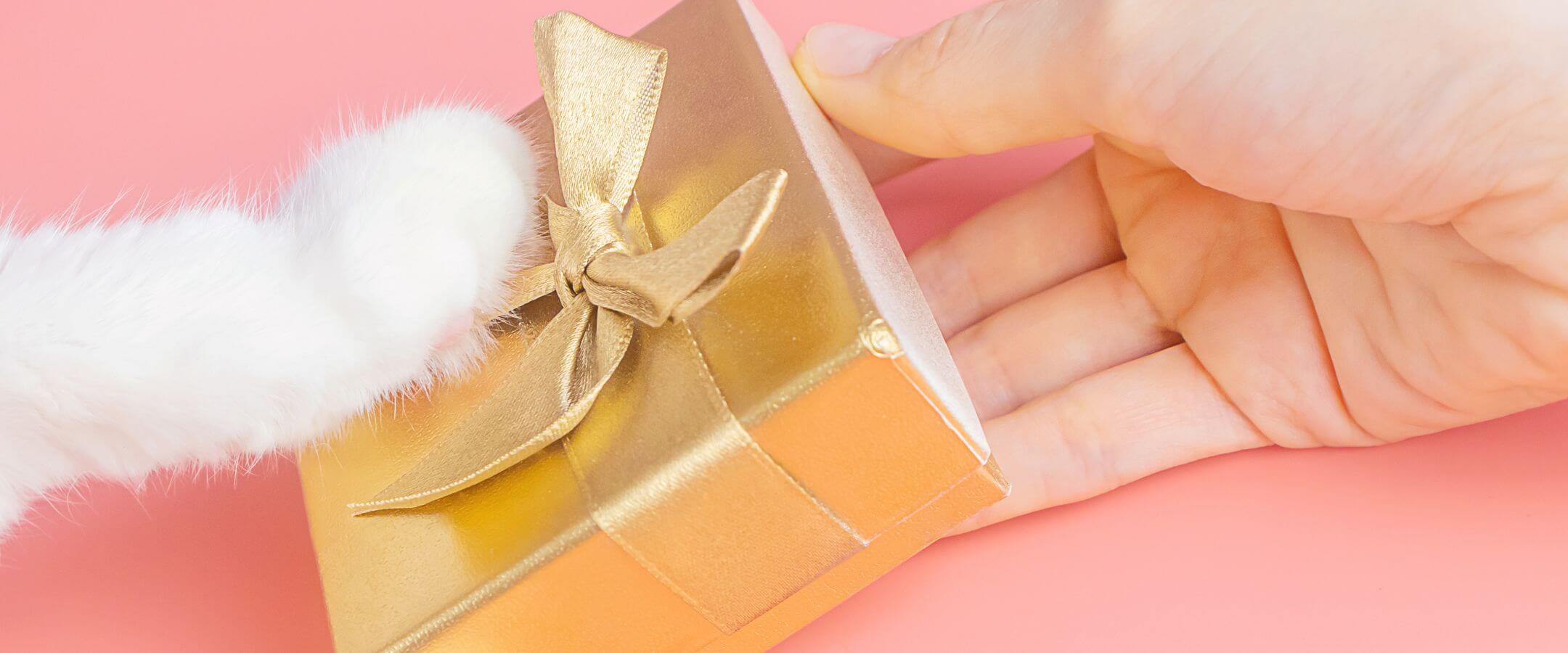 die besten Geschenke für Katzen und Katzenliebhaber