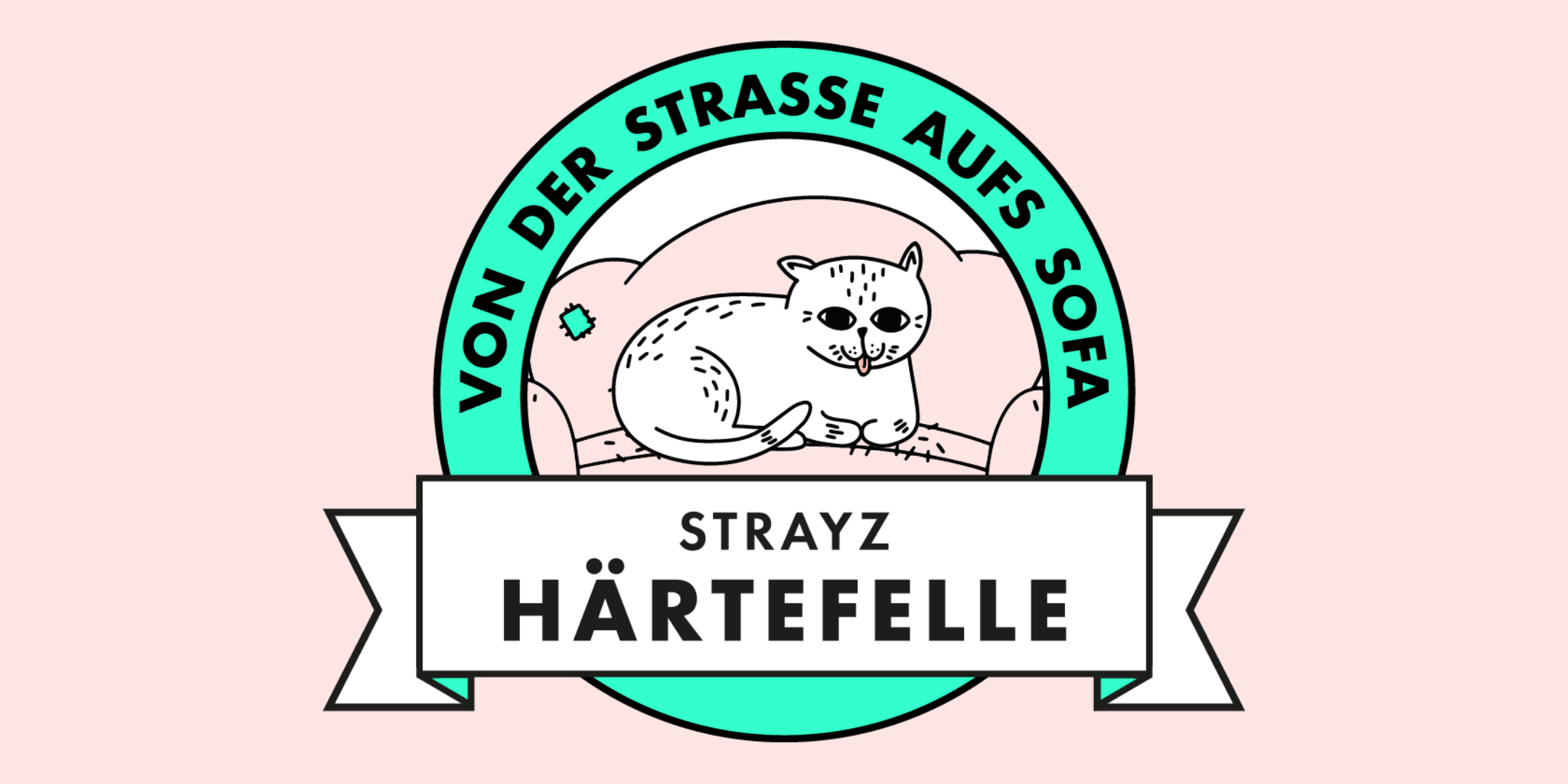 Mission Härtefelle: Straßenkatzen suchen ein Zuhause mit STRAYZ