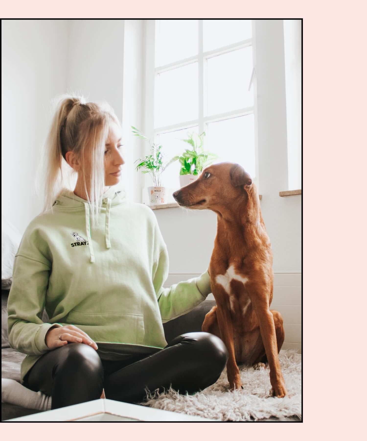 Sophia kümmert sich bei uns um den Social Media Hunde Content und schneidet tolle Werbeanzeigen